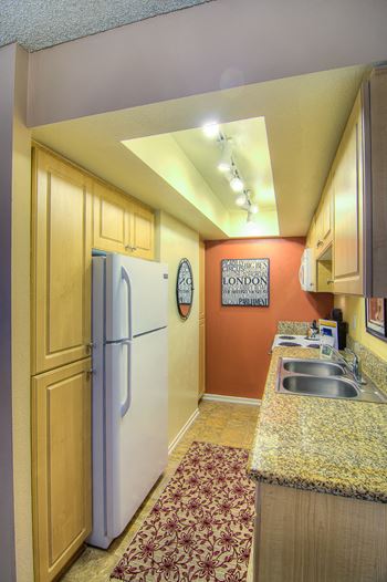 Granite counter tops